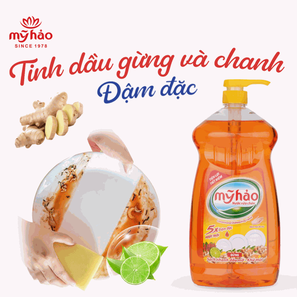 MỸ HẢO - CHIẾN DỊCH TRUYỀN THÔNG CHO NHÃN HÀNG MỸ HẢO - Hình minh họa 3