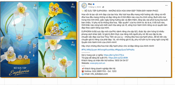 PNJ - CHIẾN DỊCH TRUYỀN THÔNG PNJ BST EUPHORIA - Hình minh họa 12